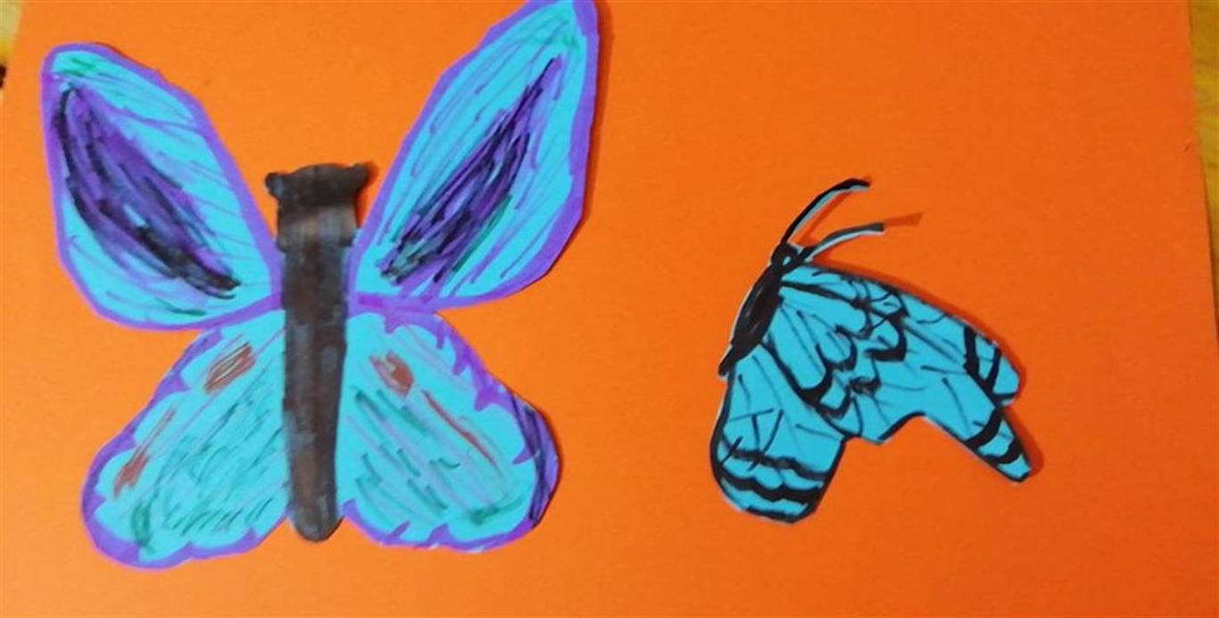 metulj1-medium