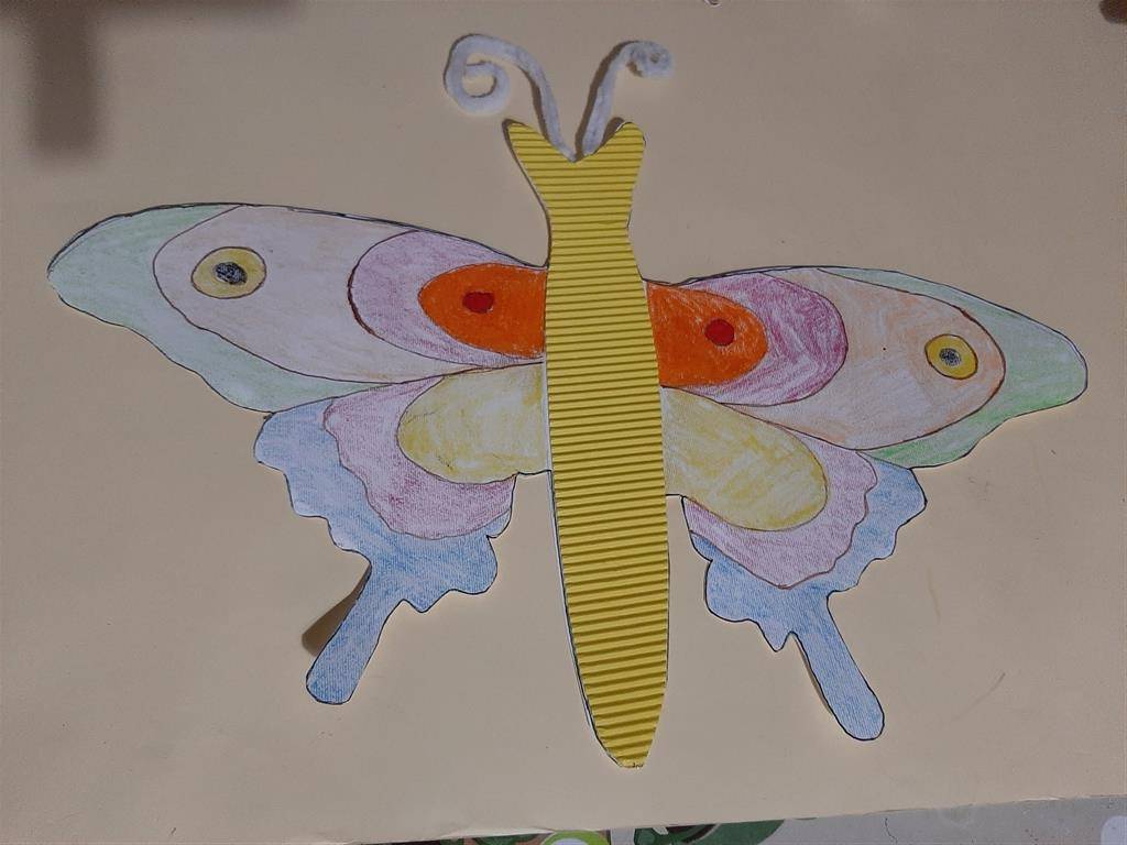 metulj2-medium