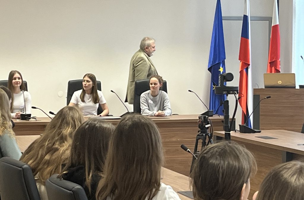Medobčinski parlament