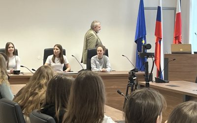 Medobčinski parlament