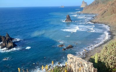 Tenerifi