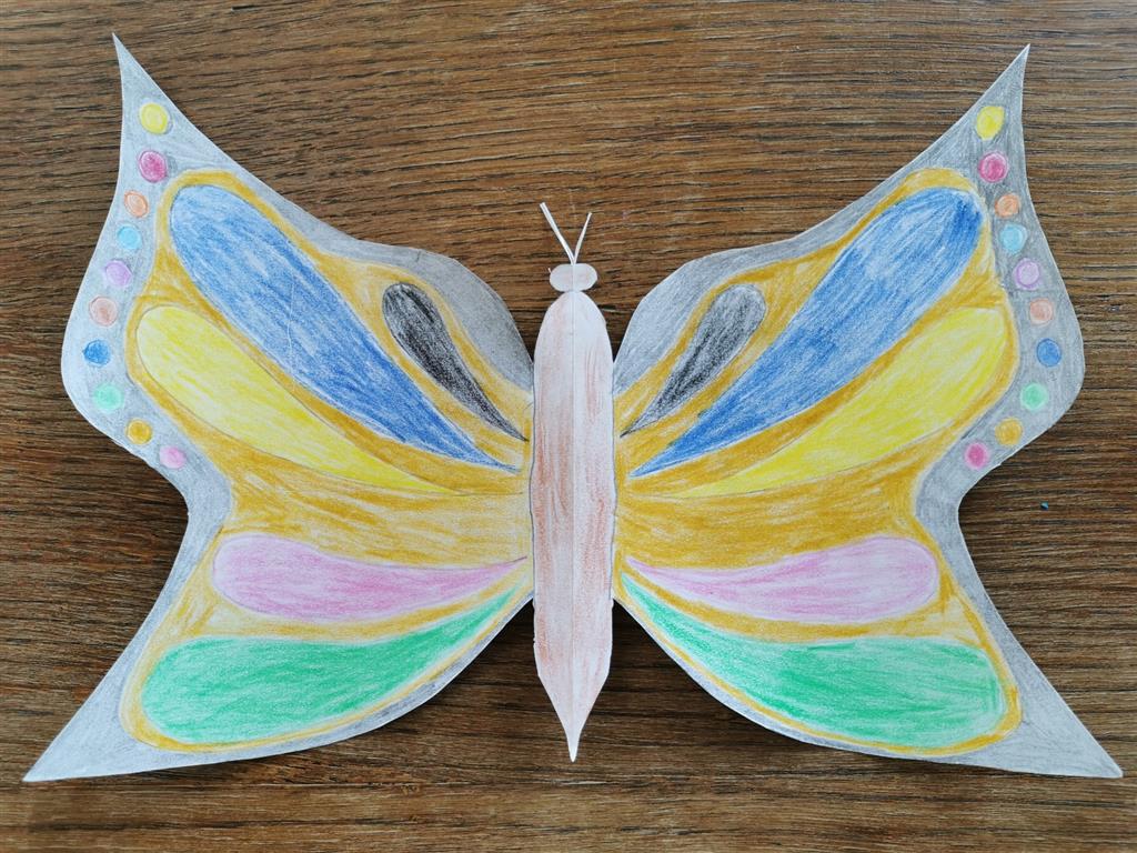 metulj14-medium