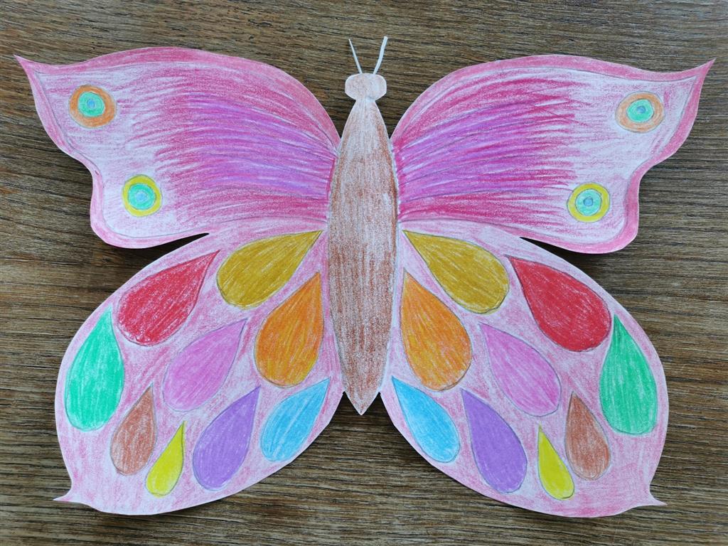 metulj16-medium